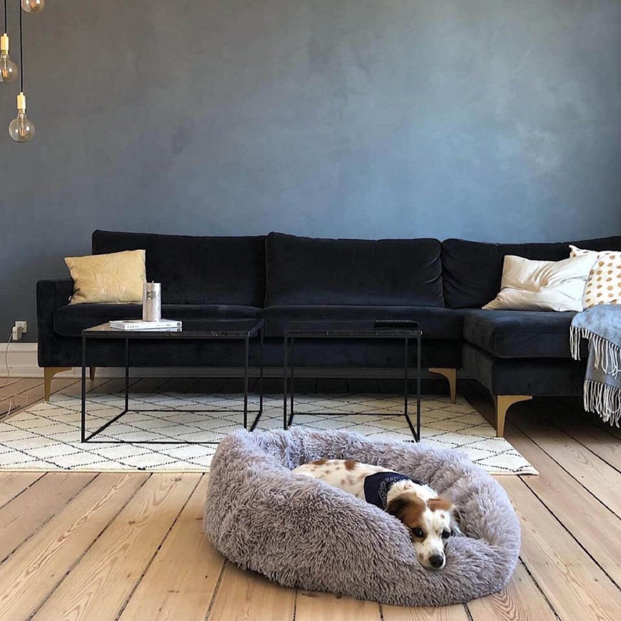 Bellos Hundebett