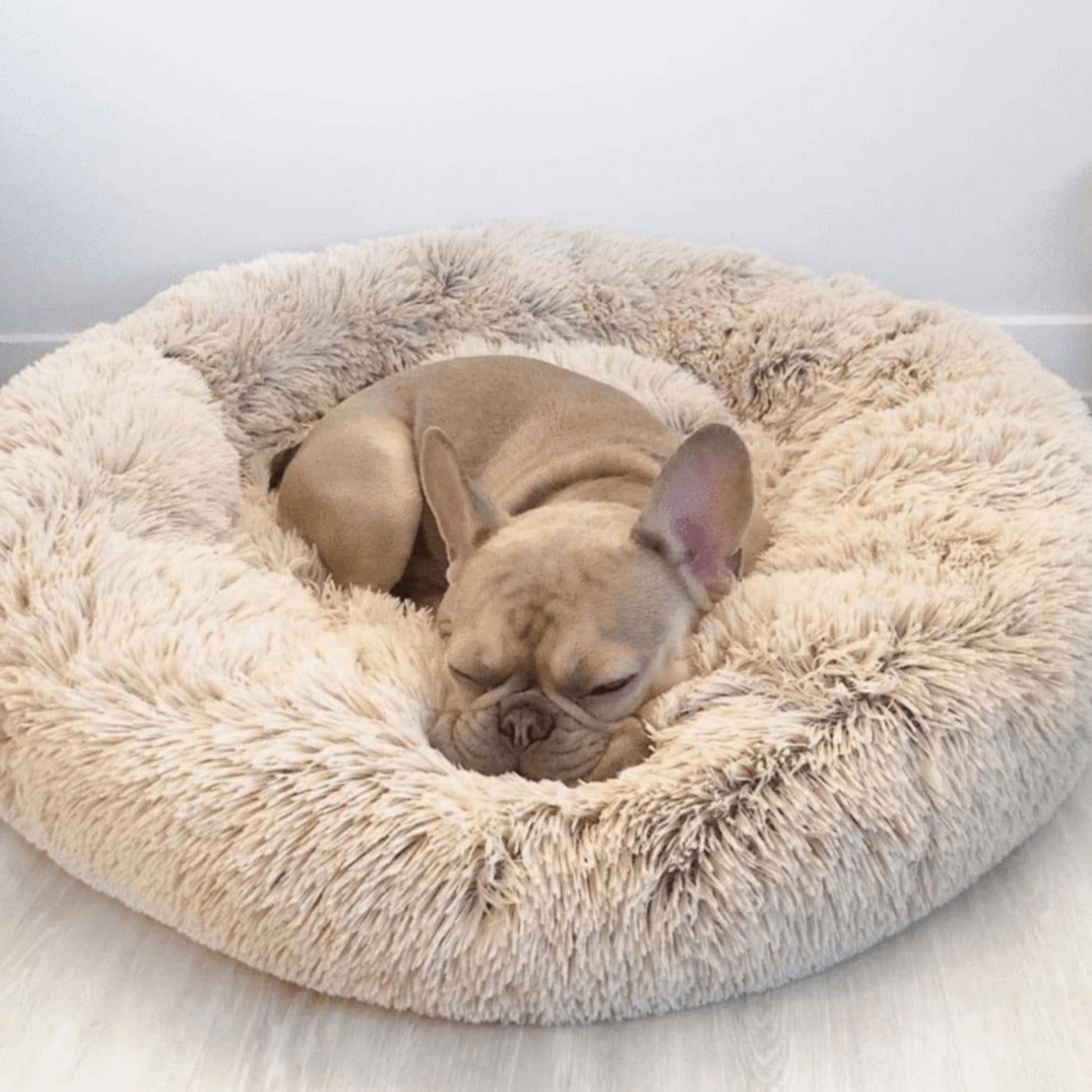 Bellos Hundebett