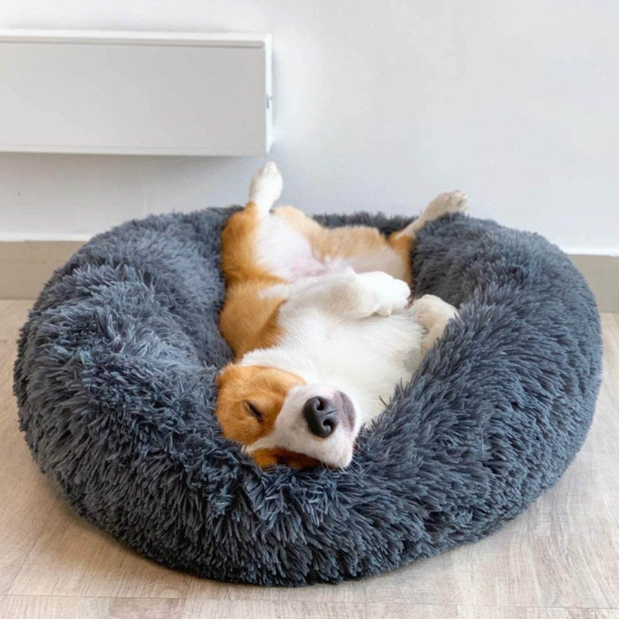 Bellos Hundebett